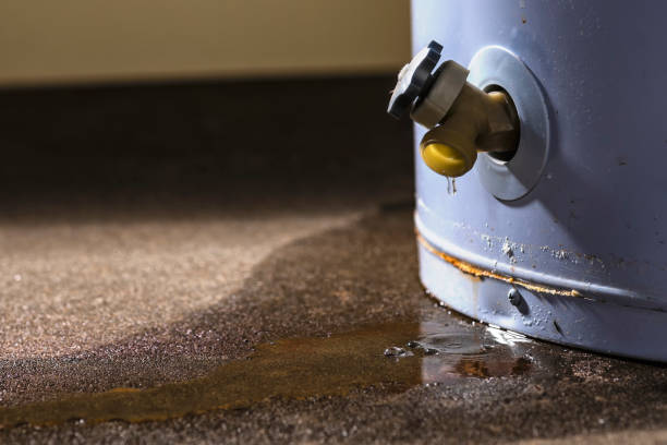 Best Sewage cleanup and water damage restoration  in Lewiston, ID