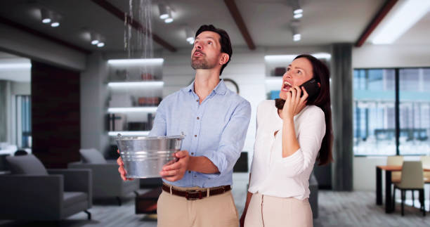 Best 24/7 water damage repair  in Lewiston, ID